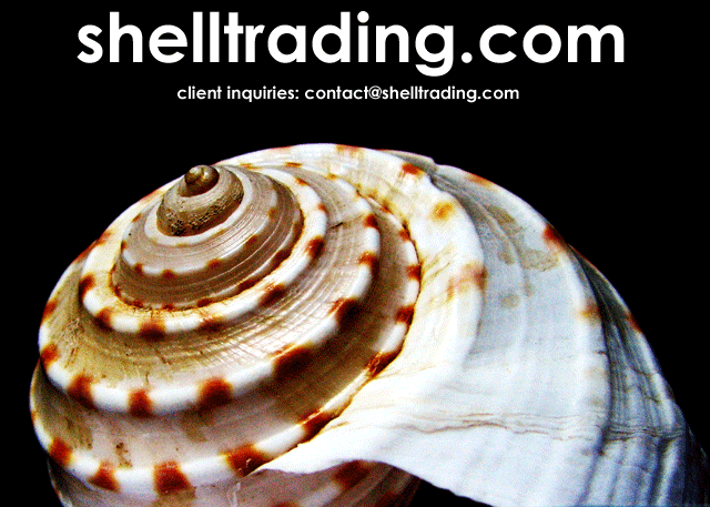 shell trading website